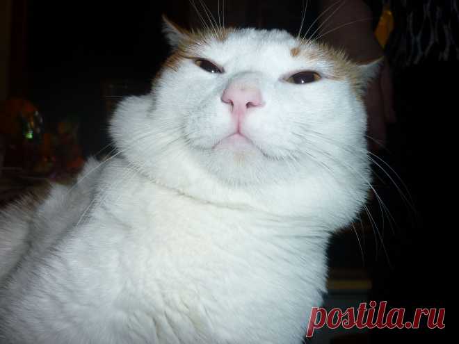 После встречи Нового Года, а впереди ещё много, много..............