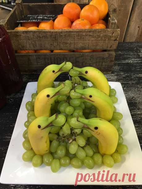 Дельфины