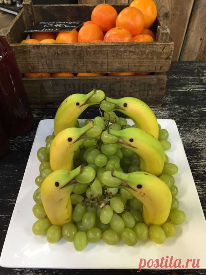 Дельфины