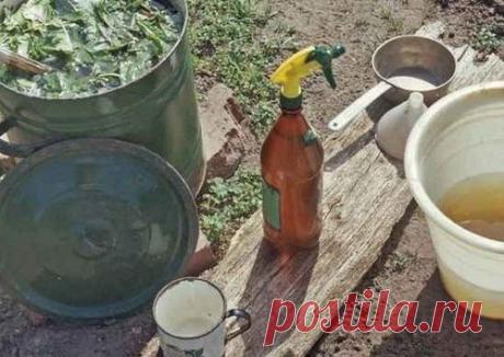 ДАЧНИКИ СОВЕТУЮТ