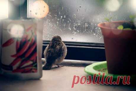 ВООБРАЖАЙ И ДЕЛАЙ!