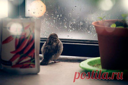 ВООБРАЖАЙ И ДЕЛАЙ!