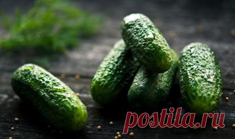 Огуречная диета — три способа похудеть с огурцами; меню на неделю

- #Огурец - полезный и освежающий #овощ, к тому же идеален для похудения.

Огуречная #диета — #эффективная_диета: этот 7-дневный план, наконец, принесет вам успех в потере веса на пути к идеальной фигуре
- #Огуречная_диета: похудеем с помощью огурцов