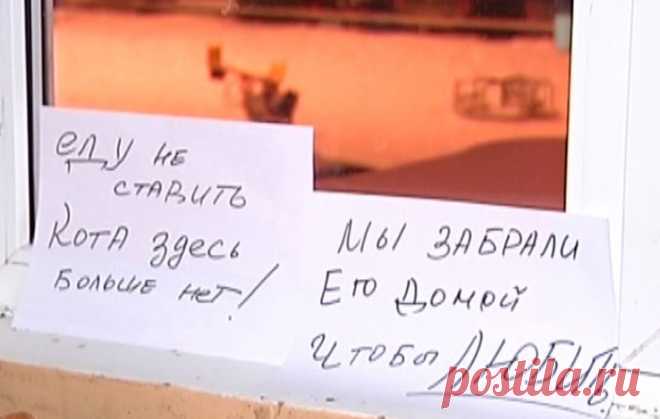 Сидишь в подъезде, грязный хвост?
А люди вверх и вниз спешат.
Глядишь им в след, не пнули чтоб,
Забилась в угол не дыша.

Пройдут ли пьяные толпой
Или старушка даст воды,
Насыплет корм на грязный пол.
Куда деваться от судьбы?
А помнишь время и другое,
Когда жила в тепле и неге
И миска корма, да с горою
И твой хозяин. Где все это?
И не пускают на порог -
Теперь там новый кот любимый.