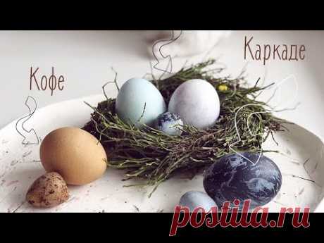 Пасхальный декор: натуральные красители и гнездо 🐣🐰 (отрывки прямого эфира)