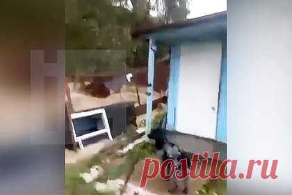 Уплывший из-за тайфуна на Сахалине дом попал на видео. На Сахалине из-за сильных ливней, вызванных обрушившимся на регион тайфуном, дом уплыл с участка вниз по течению. На записи, сделанной очевидцами произошедшего, можно увидеть, что деревянная постройка сошла с фундамента, проплыла мимо одного из участков, после чего застряла.