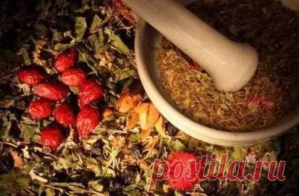 РЕЦЕПТЫ НАРОДНОЙ МЕДИЦИНЫ В ПОМОЩЬ ПРИ ЛЕЧЕНИИ ПСОРИАЗА / Популярная медицина