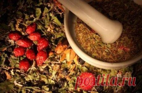 РЕЦЕПТЫ НАРОДНОЙ МЕДИЦИНЫ В ПОМОЩЬ ПРИ ЛЕЧЕНИИ ПСОРИАЗА / Популярная медицина