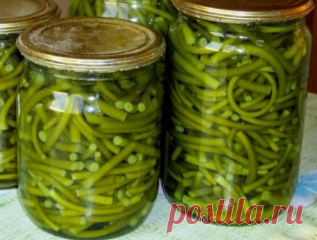 Соленые чесночные стрелки на зиму: 2 простых рецепта - Женский сайт "Порадка"