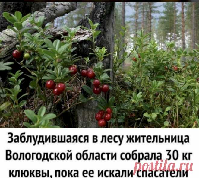 Выпуск №6504 - выпуск анекдотов сайта вокруг смеха