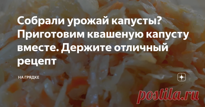 Собрали урожай капусты? Приготовим квашеную капусту вместе. Держите отличный рецепт Каждый год я жду этого момента - когда наконец придет время готовить квашеную капусту.
Как я её люблю - не передать словами. Этим рецептом со мной поделилась одна знакомая, до этого я как-то была к квашеной капусте равнодушна - готовила немного, чтобы зимой сделать винегрет.
Но по этому рецепту я просто оторваться не могу от нее, и мои домашние тоже уже начали спрашивать:
- Когда же? Когда будет
