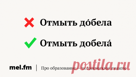 9 досадных ошибок в ударениях, которые вы больше никогда не будете делать | Мел | Яндекс Дзен