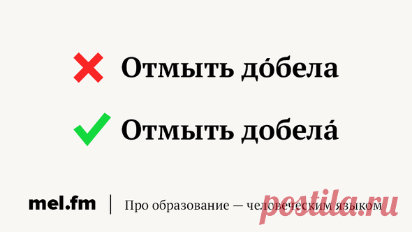 9 досадных ошибок в ударениях, которые вы больше никогда не будете делать | Мел | Яндекс Дзен