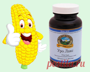 Кукуруза, кукурузные рыльца и витамин К: полезные свойства.
Вы любите кукурузу? Нет? Зря! Полезные свойства кукурузы известны с давних времен. Еще у ацтеков и майя она ценилась на вес золота. Тут нет ничего удивительного, ведь в початках целый кладезь веществ, необходимых организму человека. Это: витамины Е, А, С, РР, витамины группы В, микроэлементы, среди которых кальций, магний, железо, цинк и другие. Но и это еще не всё!