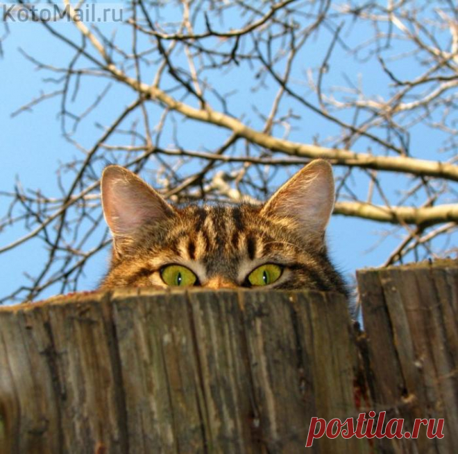 Я слежу за тобой