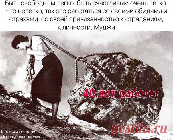 Талантливый человек попадает в цель, в которую другие не попают, а гениальный в ту - которые другие не видят. SKYWAY Миллионер через год все, кто сейчас не хочет видеть его 140 изобретений мирового масштаба, 68 лет от роду - не лежит где то пузом кверху на песочке у моря, обсмеяный всеми олигархами и выставленный с кабинетов не однажды - обратился к народу и убеждает вот уже почти 40 лет - что воздушная дорога - это выгодно только всему народу - олигархи выживут по любому.
Показать полностью…