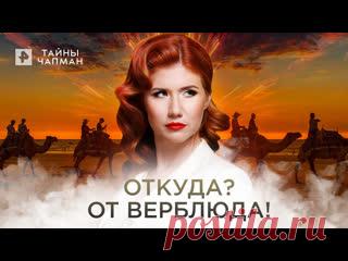 Откуда? От верблюда! — Тайны Чапман (29.07.2022) ПОДПИСЫВАЙТЕСЬ: ▶️RUTUBE - https://rutube.ru/feeds/rentv/  ▶️САЙТ РЕН ТВ: http://ren.tv/  ▶️ВКОНТАКТЕ - https://vk.com/rentvchannel  ▶️ОК - https://ok.ru/rentv  ▶️ДЗЕН - https://zen.yandex.ru/rentv  ▶️TELEGRAM - https://t.me/rentv_news  ▶️TIKTOK: https://www.tiktok.com/@rentvrussia  В этом выпуске:..