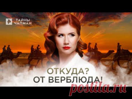 Откуда? От верблюда! — Тайны Чапман (29.07.2022) ПОДПИСЫВАЙТЕСЬ: ▶️RUTUBE - https://rutube.ru/feeds/rentv/  ▶️САЙТ РЕН ТВ: https://ren.tv/  ▶️ВКОНТАКТЕ - https://vk.com/rentvchannel  ▶️ОК - https://ok.ru/rentv  ▶️ДЗЕН - https://zen.yandex.ru/rentv  ▶️TELEGRAM - https://t.me/rentv_news  ▶️TIKTOK: https://www.tiktok.com/@rentvrussia  В этом выпуске:..