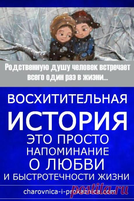 Родственную душу человек встречает всего один раз в жизни… | Чаровница и проказница