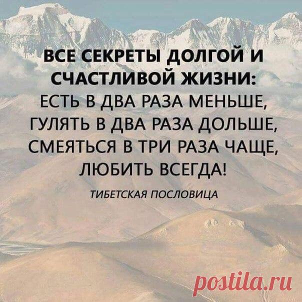 Кинолюбители - Лучшие фильмы