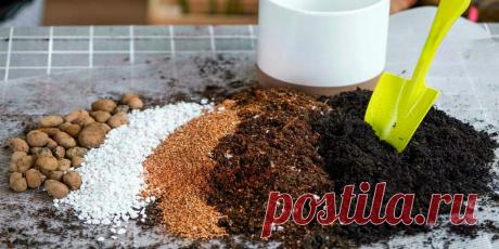Грунт для рассады какой выбрать - Сад и огород