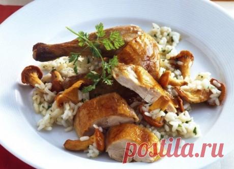 Курица с рисом в духовке / Простые рецепты