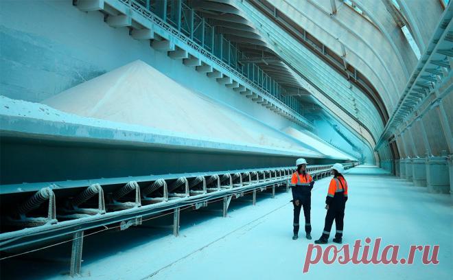 Правительство продлило на полгода квоты на вывоз минеральных удобрений. Правительство утвердило постановление о квотах на экспорт удобрений из России в период с 1 декабря текущего года по 31 мая следующего года, документ размещен на портале официальной информации.