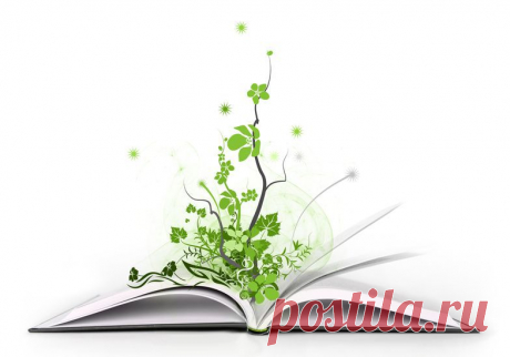 Почему нужно читать книги. Книга — лучший учитель | Хитрости Жизни