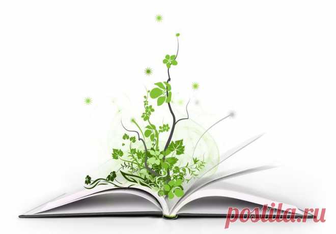 Почему нужно читать книги. Книга — лучший учитель | Хитрости Жизни