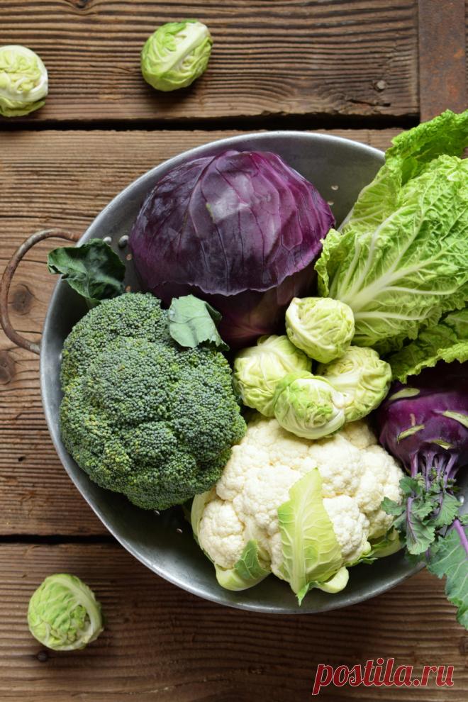 Не только салат «Весенний»: какая бывает капуста и что из нее можно приготовить — рассказывает Марика Кравцова | Glamour.ru