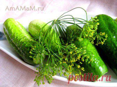 ВКУСНАЯ ЕДА - AmAMaM.ru - Рецепты с фото