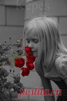 Pinterest • Всемирный каталог идей