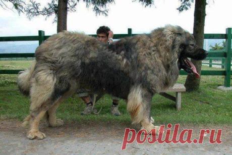 Редкие кадры.