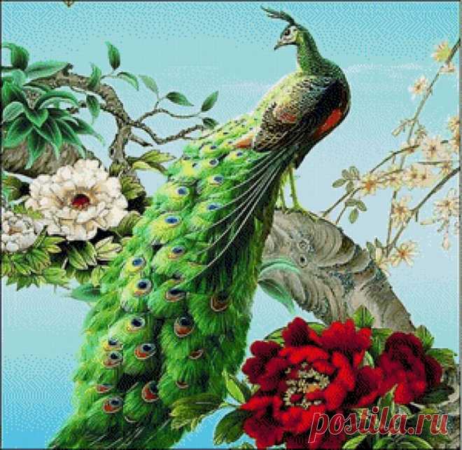 карты для декупажа с павлином: 13 тыс изображений найдено в Яндекс.Картинках