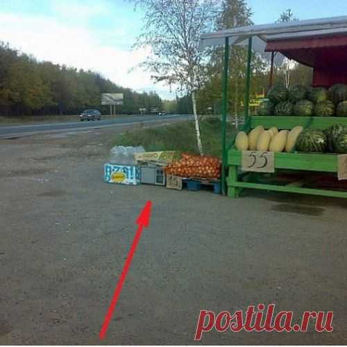 Маскировка фоторадаров на обочинах дорог