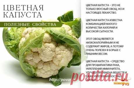 Цветная капуста полезные свойства