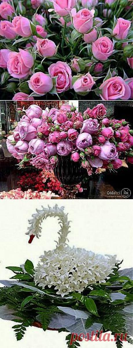 КОМПОЗИЦИИ ИЗ ЦВЕТОВ.