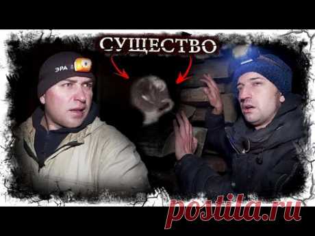 Мохнатый колобок. Существо из Места Силы. Возвращение Паши?