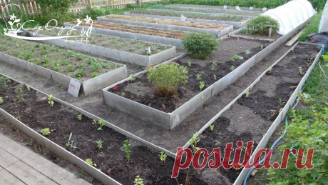 Как правильно выбрать ограждения для грядок.