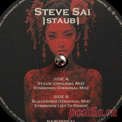 Steve Sai HUDD Charts Spring 2025 (II) » MinimalFreaks.co