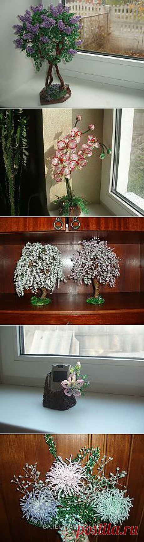 Одноклассники