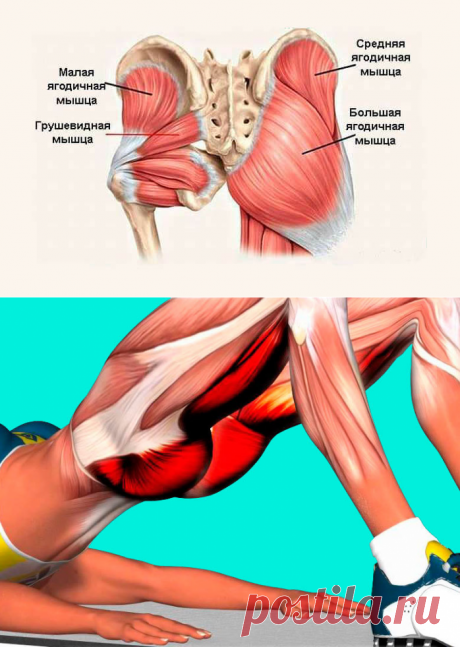 Качаем ягодицы без приседаний: 2 упражнения без нагрузки на колени Кликайте на фото, чтобы прочитать ⤴
