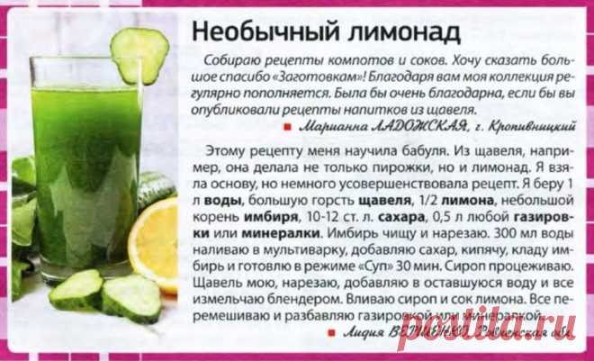 Лимонад из щавеля
