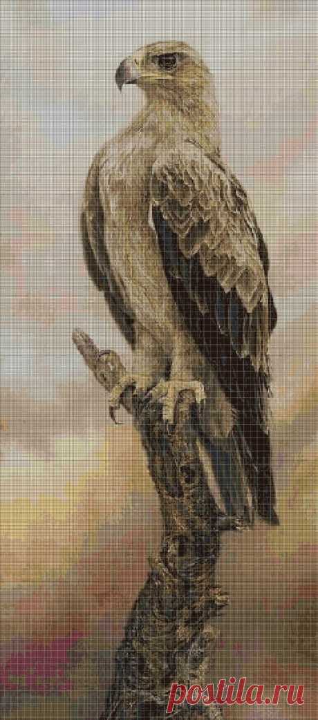 Eagle cross stitch pattern in pdf DMC Digital computer model - not printed on paper.  This is a pattern only!  Not a kit or finished piece!  No fabric or floss are included in this listing