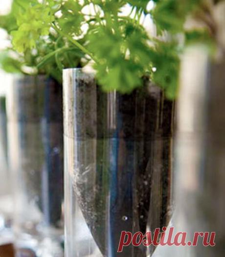 Сделай сам: самоувлажняемое кашпо для растений