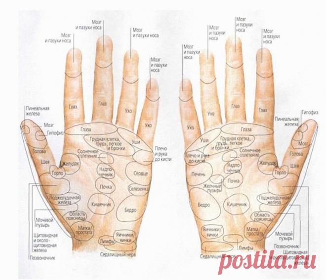 (+1) Лечебная сила точек на руках: простые приёмы самопощи