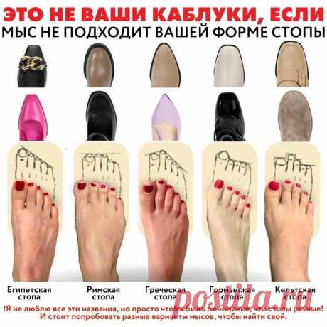 Изображение пина-истории