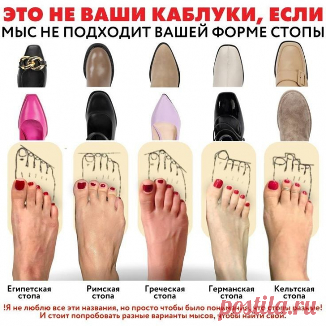 Изображение пина-истории