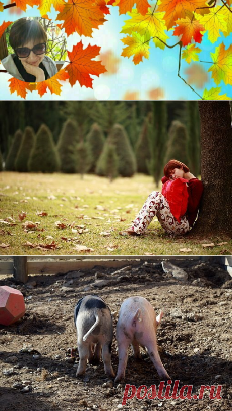 Тогда я решила взять малыша из детского дома... А что? Жизнь налаживается... Сил еще много... Душевного тепла навалом... Выращу! | Я так думаю | Яндекс Дзен