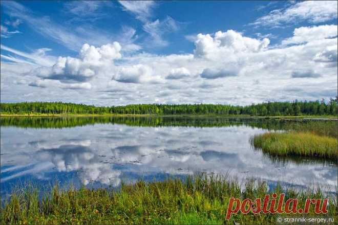 Мир первозданной красоты затерянного края.Нетронутые уголки Дикой Природы есть на востоке Подмосковья. Они находятся среди непроходимых болот Владимирской Мещёры.